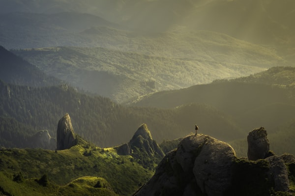 Connecting With Nature